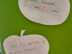 foto_003