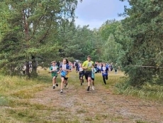 foto_008