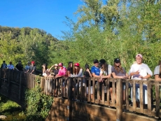 foto_003
